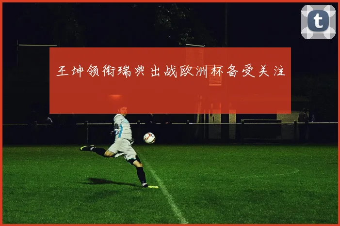 王坤领衔瑞典出战欧洲杯备受关注