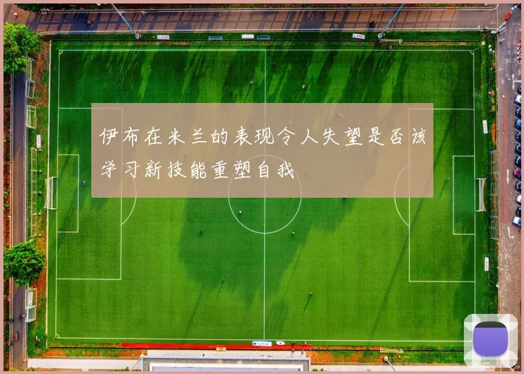 伊布在米兰的表现令人失望是否该学习新技能重塑自我