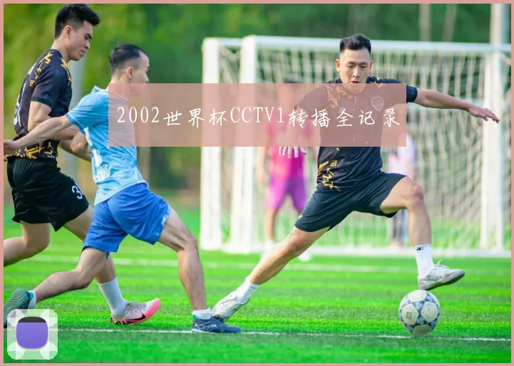 2002世界杯CCTV1转播全记录