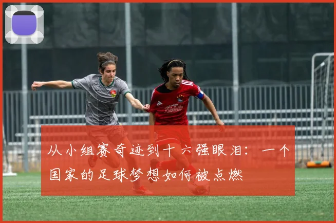 从小组赛奇迹到十六强眼泪：一个国家的足球梦想如何被点燃