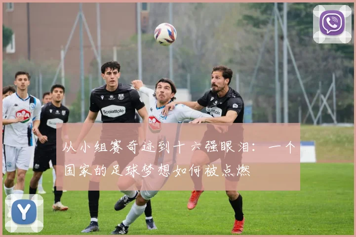 从小组赛奇迹到十六强眼泪：一个国家的足球梦想如何被点燃
