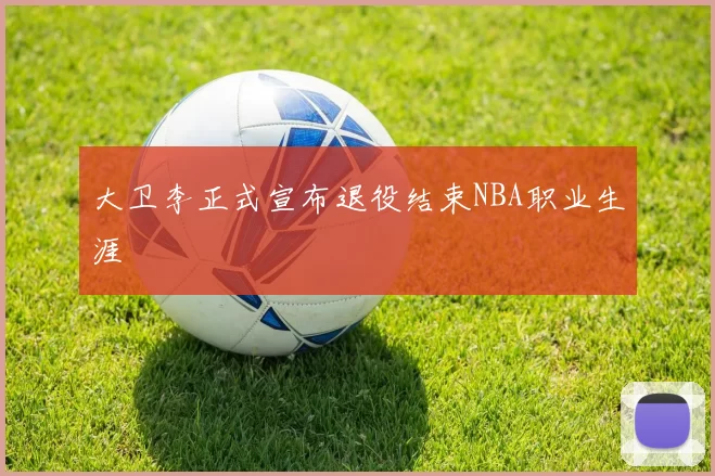 大卫李正式宣布退役结束NBA职业生涯