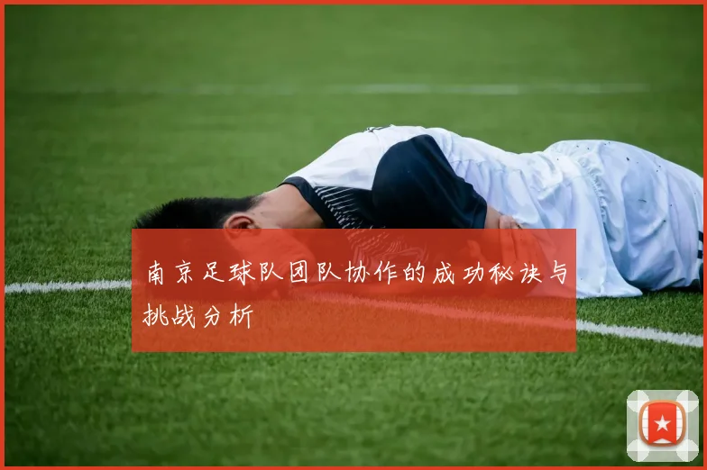 南京足球队团队协作的成功秘诀与挑战分析