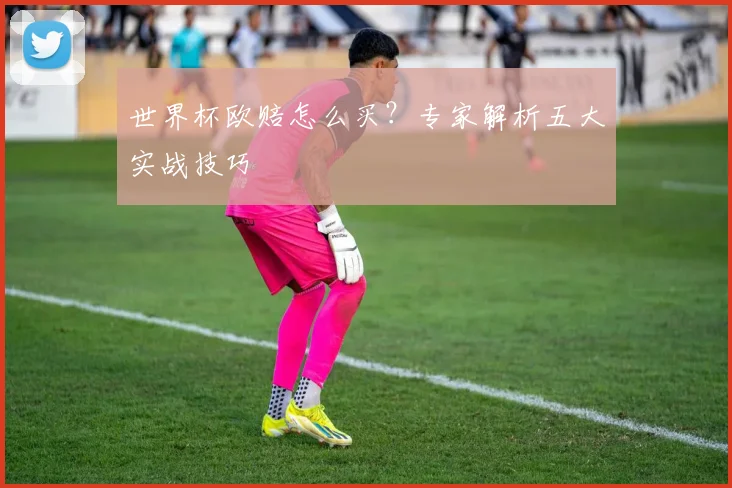 世界杯欧赔怎么买？专家解析五大实战技巧