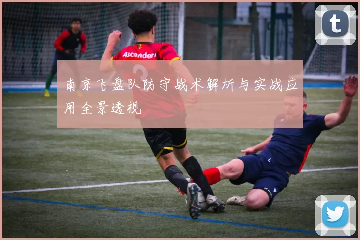 南京飞盘队防守战术解析与实战应用全景透视