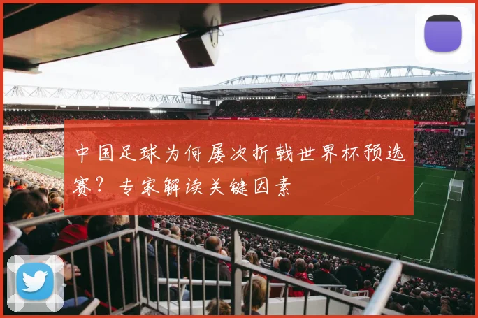 中国足球为何屡次折戟世界杯预选赛?专家解读关键因素