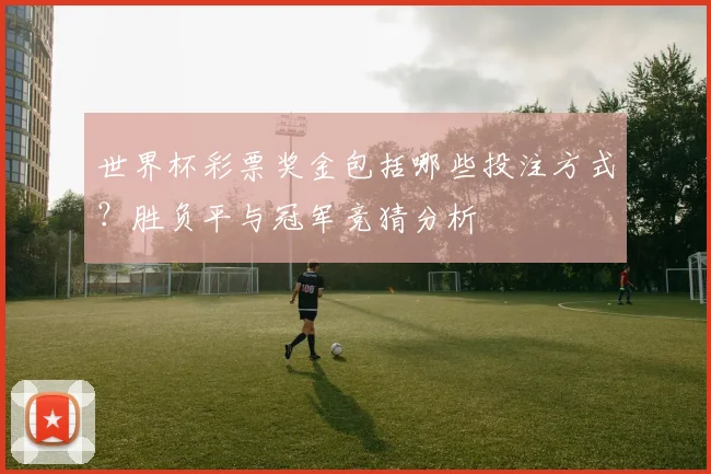 世界杯彩票奖金包括哪些投注方式？胜负平与冠军竞猜分析