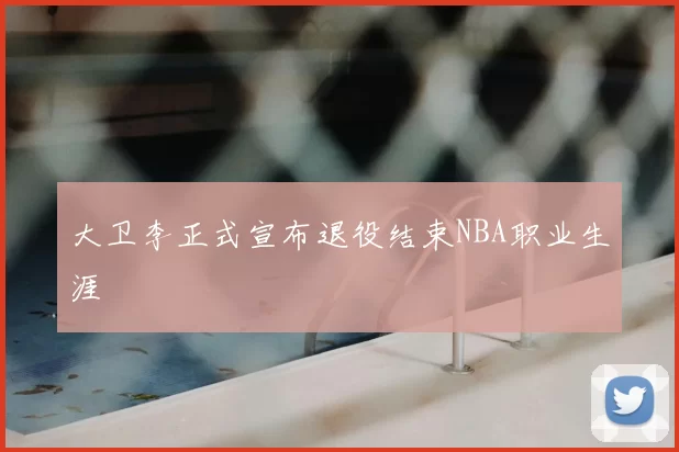 大卫李正式宣布退役结束NBA职业生涯