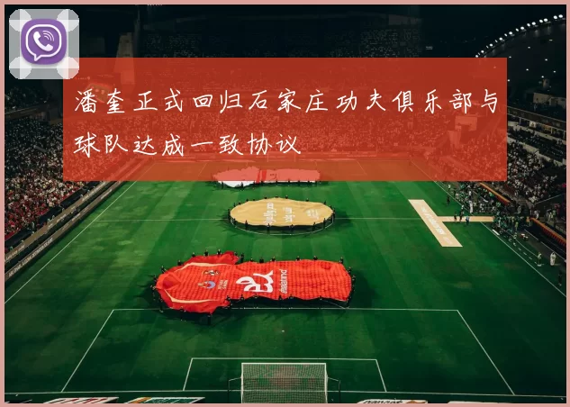 潘奎正式回归石家庄功夫俱乐部与球队达成一致协议