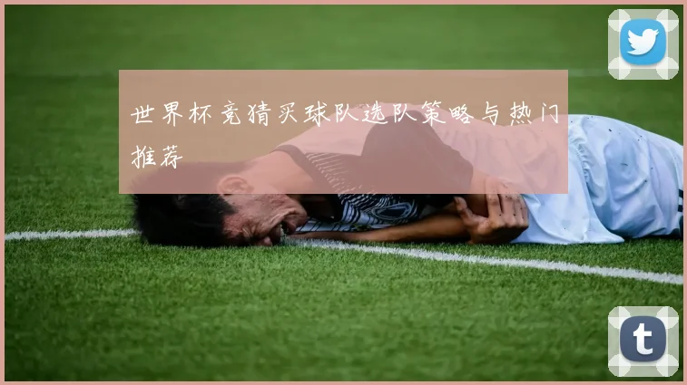 世界杯竞猜买球队选队策略与热门推荐
