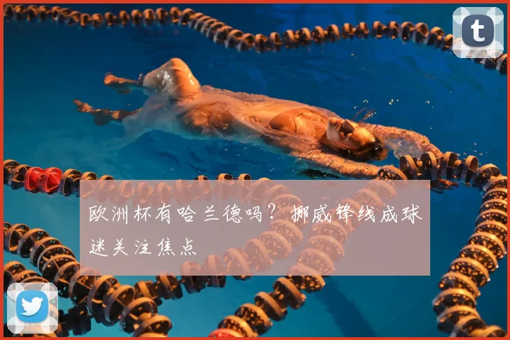 欧洲杯有哈兰德吗？挪威锋线成球迷关注焦点