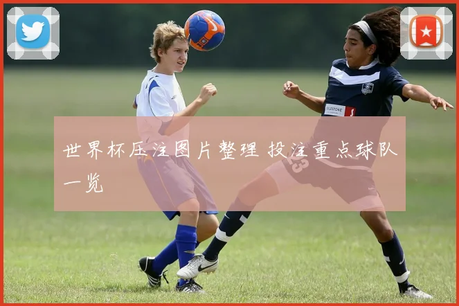 世界杯压注图片整理 投注重点球队一览
