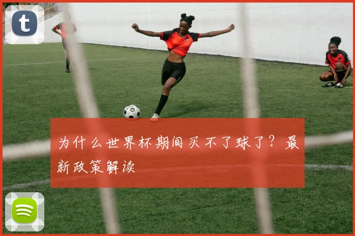 为什么世界杯期间买不了球了？最新政策解读