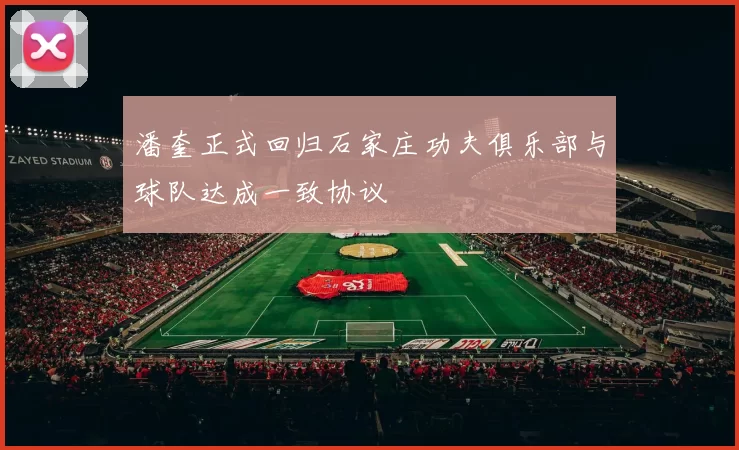 潘奎正式回归石家庄功夫俱乐部与球队达成一致协议