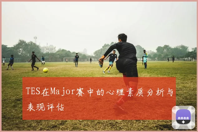 TES在Major赛中的心理素质分析与表现评估