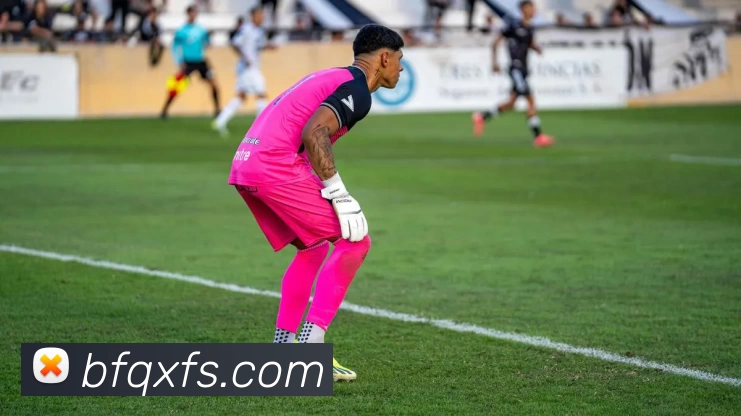 九游会·j9官网全站App 九游会·j9官网全站App